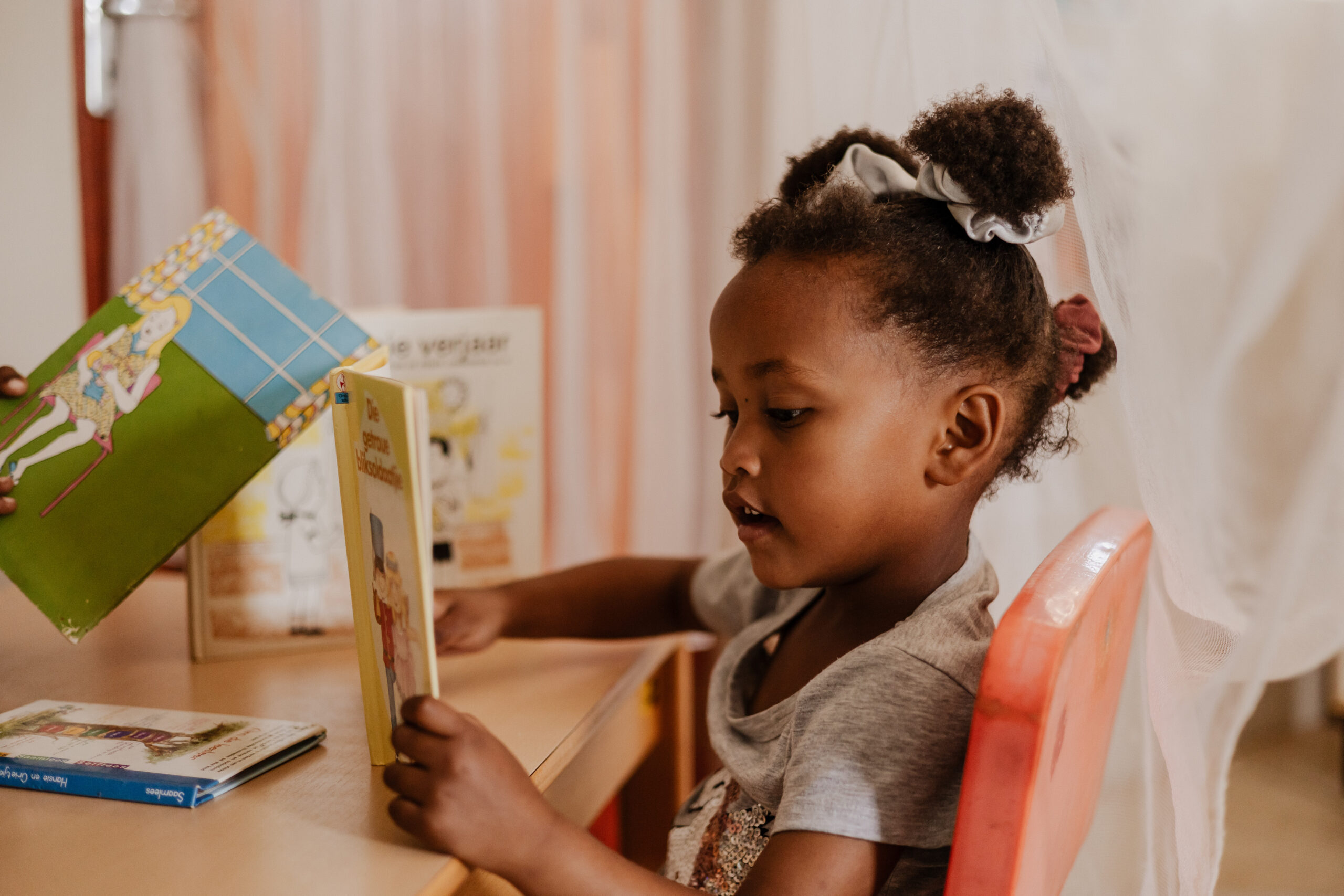 Leesboeken Noah's Ark